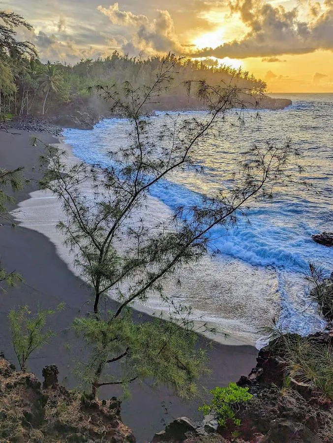 Kehena Mauka Nui Club Lgbtqia+ Clothing Optional contacts