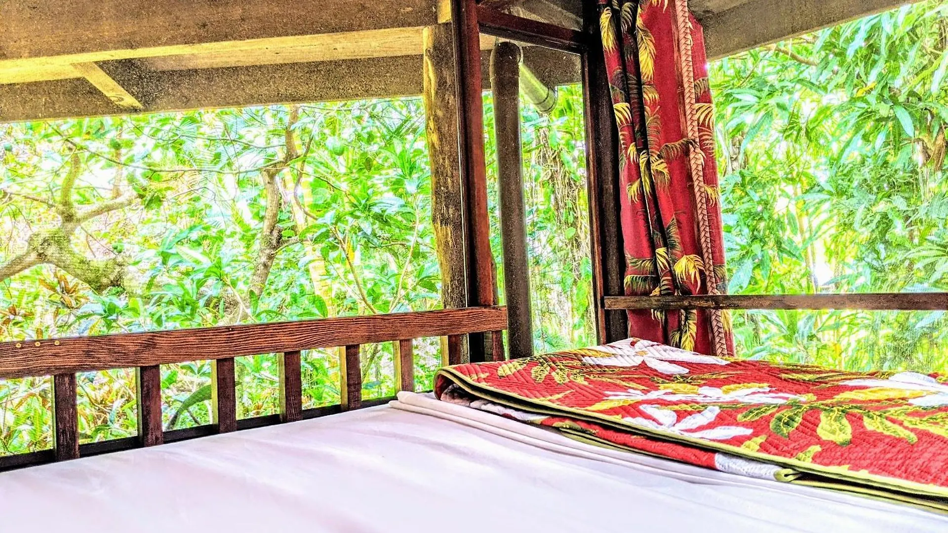 Kehena Mauka Nui Club Lgbtqia+ Clothing Optional Bed & Breakfast Pahoa