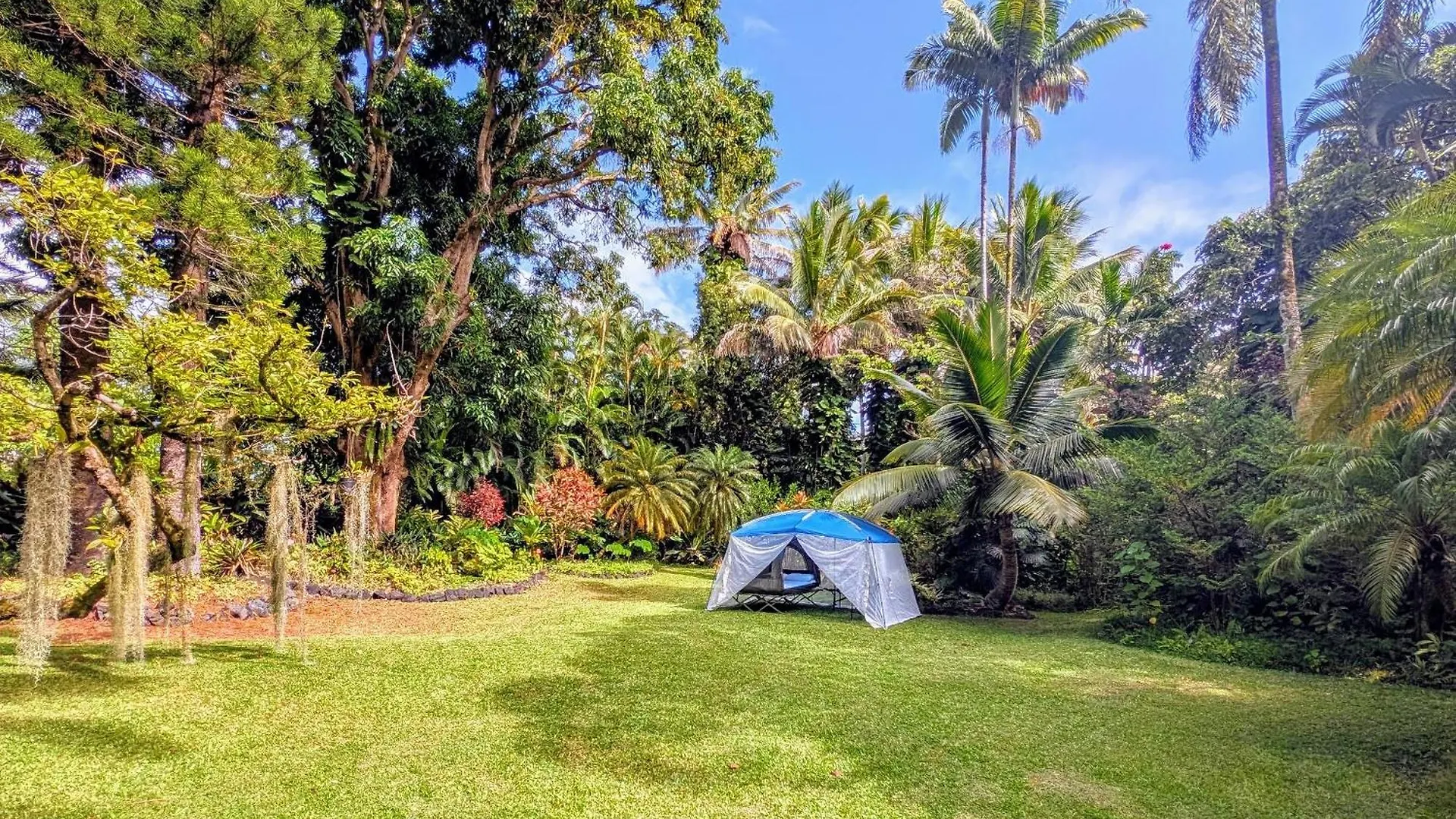 Bed and Breakfast Kehena Mauka Nui Club Lgbtqia+ Clothing Optional Pahoa Estados Unidos
